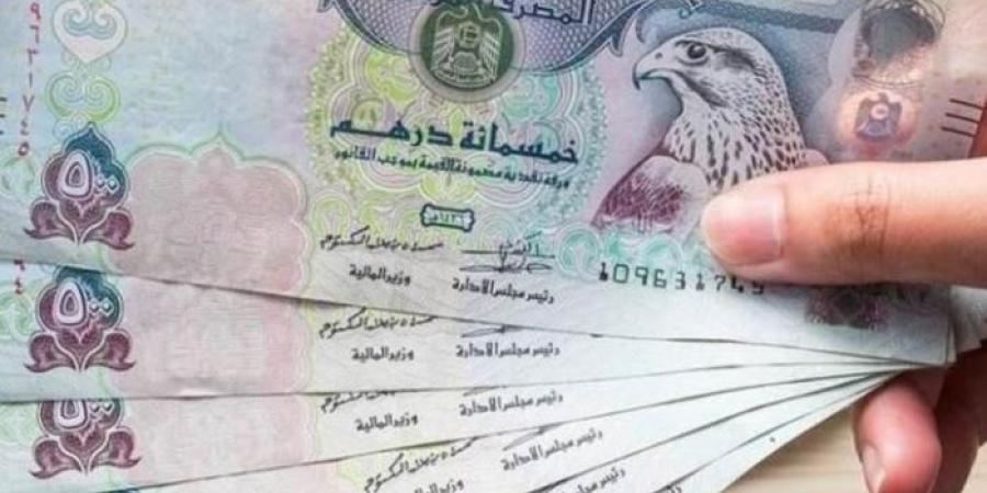 بالبلدي : سعر الدرهم الاماراتي اليوم الخميس 19-9-2024 - بوابة فكرة وي