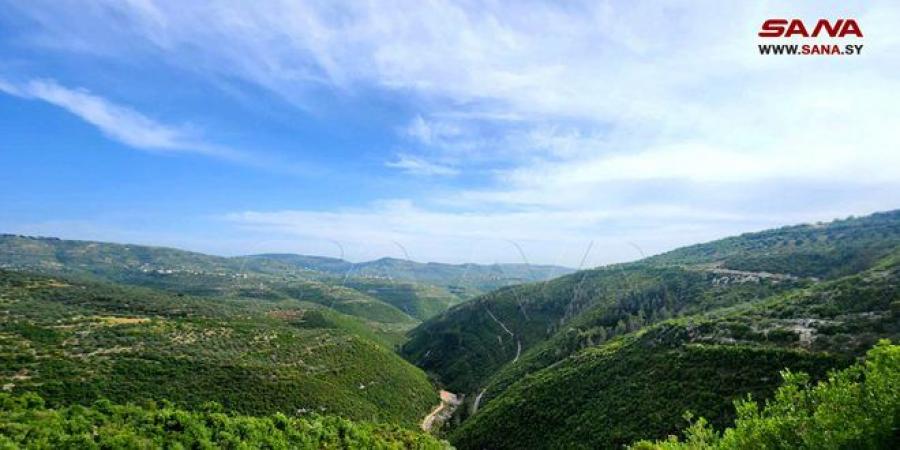 الجو غداً معتدل وفرصة لهطل أمطار في مناطق عدة - بوابة فكرة وي