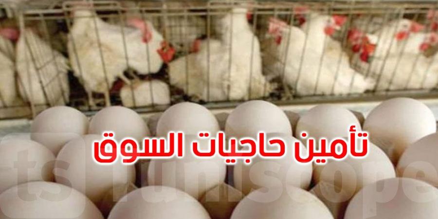 وضعية التزويد بمادة البيض وتأمين حاجيات السوق محور جلسة عمل وزارية - بوابة فكرة وي