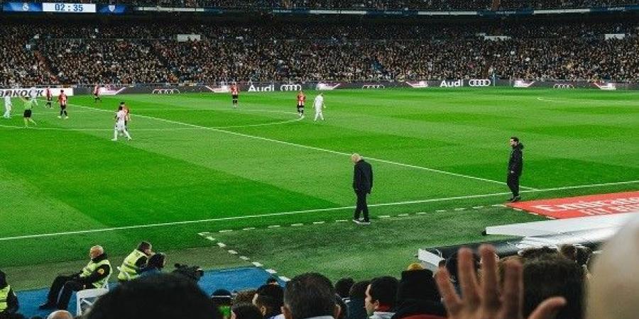 الدوري السعودي يتقدم بعرضاً خرافياً لضم ماماردا شفيلي في الميركاتو الصيفي - بوابة فكرة وي