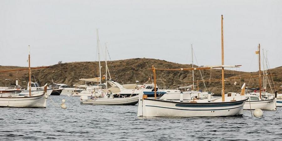 مهنيو قطاع الصيد البحري يدعون الى التعجيل بتسوية وضعية صنع المراكب - بوابة فكرة وي