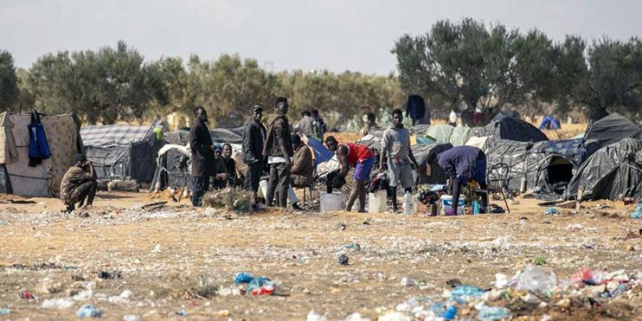 في اليوم العالمي للهجرة واللجوء... أي حلول للمرشّحين لانتخابات الرئاسة لهذه المأساة؟ - بوابة فكرة وي