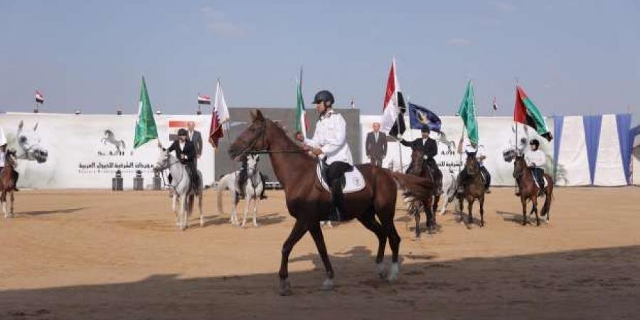 «السياحة» تشارك في حفل افتتاح مهرجان الشرقية للخيول العربية - بوابة فكرة وي