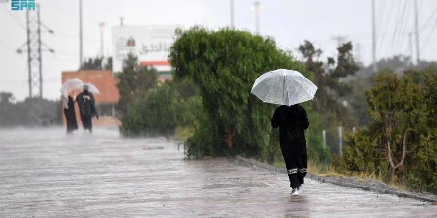 طقس الجمعة.. أمطار ورياح مثيرة للأتربة على أجزاء من 7 مناطق - بوابة فكرة وي