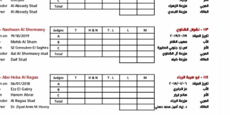 شهادة ميلاد الحصان شرط المشاركة بمهرجان الشرقية للخيول العربية الأصيلة (مستندات) - بوابة فكرة وي