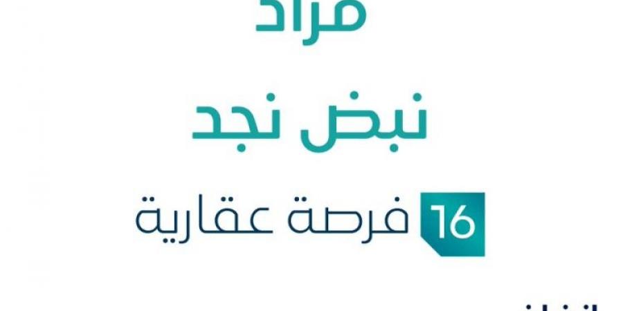 16 فرصة عقارية .. مزاد عقاري جديد من شركة بن سعيدان للخدمات العقارية في الرياض - بوابة فكرة وي