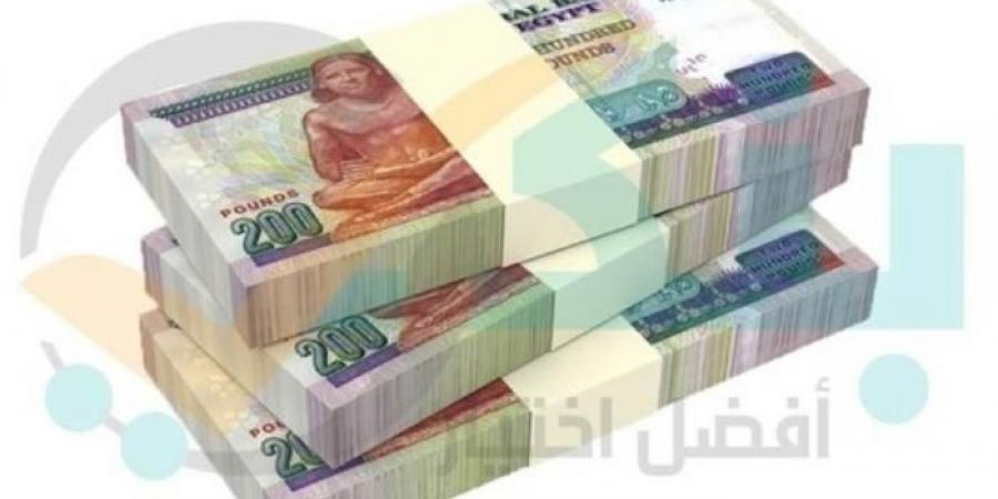 بالبلدي : البنك الأهلي يوظف 64.5% من ودائعه بالقروض بنهاية 2023 - بوابة فكرة وي