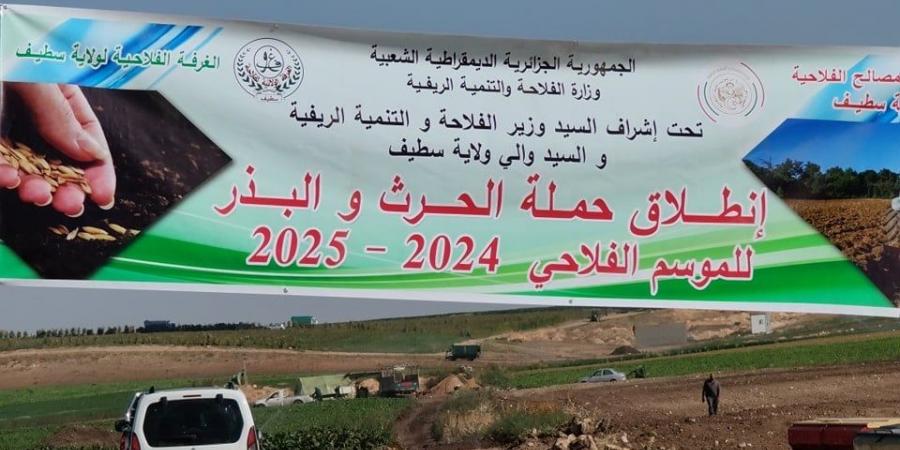 إنطلاق حملة الحرث والبذر لموسم 2024/2025 من سطيف - بوابة فكرة وي