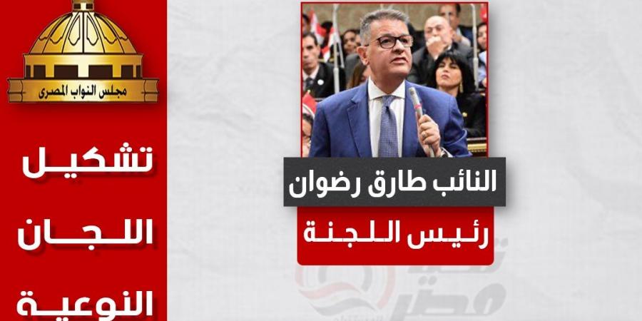 طارق رضوان رئيسا.. تحيا مصر ينشر تشكيل هيئة مكتب لجنة حقوق الإنسان بدور الانعقاد الخامس - بوابة فكرة وي