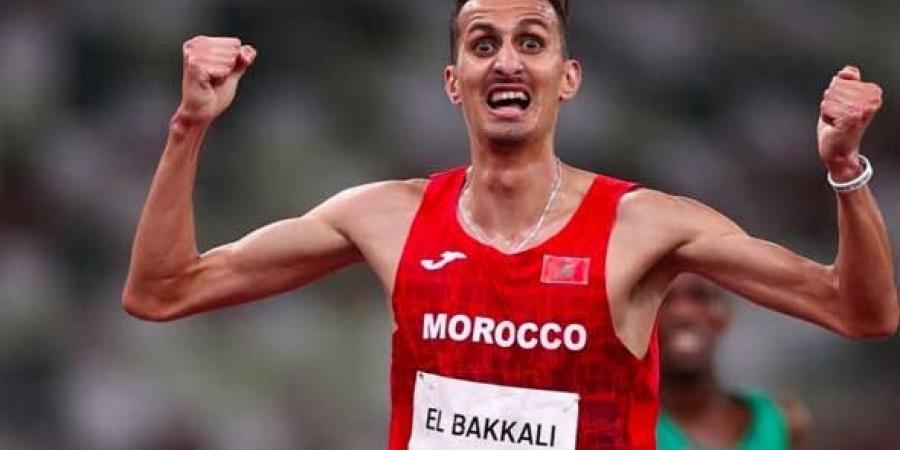 العاهل المغربي يُهنئ البقالي بمناسبة تتويّجه بالذهبية في أولمبياد باريس 2024 - بوابة فكرة وي