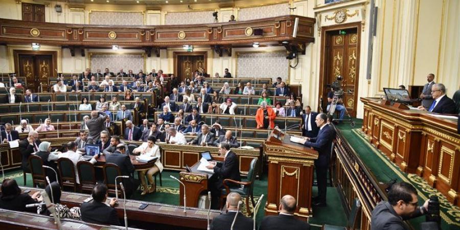 بيان لوزيري الصحة والصناعة أمام النواب خلال الأسبوع الجاري - بوابة فكرة وي