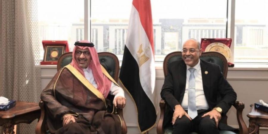 السفير الحصيني يستعرض مع وزير العمل المصري أوجه التعاون المشترك - بوابة فكرة وي