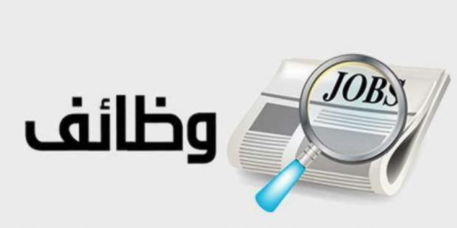 وظائف لخريجي المؤهلات العليا.. أفضل الفرص المتاحة الآن في مصر - بوابة فكرة وي