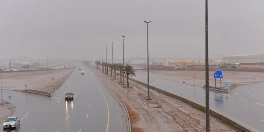 الأماكن والمواعيد.. أمطار خفيفة على أجزاء من الشرقية - بوابة فكرة وي