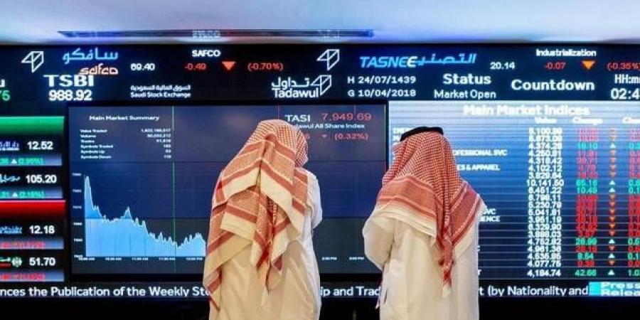 "تمكين" تستعد للطرح في السوق السعودية بعد تحقيق إيرادات نصف مليار ريال - بوابة فكرة وي