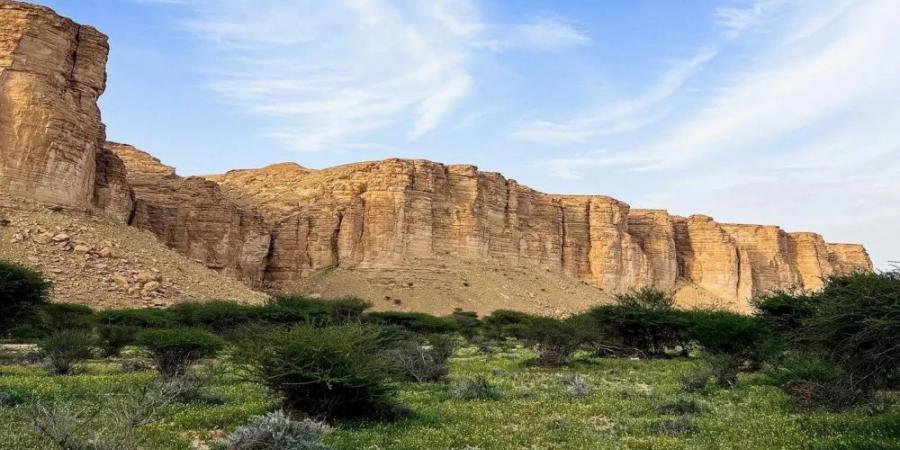 بتحقيق معايير "IUCN".. محمية الوعول أول جهة سعودية تنضمّ للقائمة الخضراء الدولية - بوابة فكرة وي