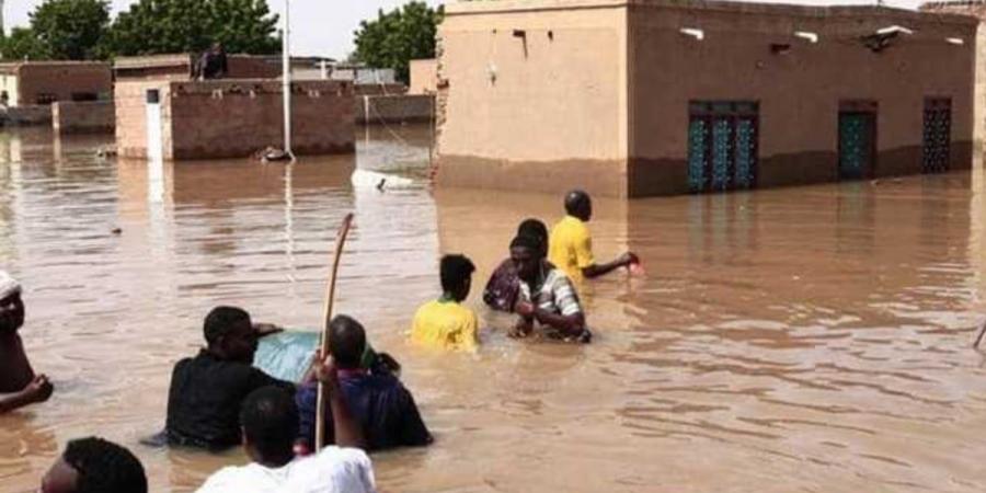 ارتفاع حصيلة ضحايا الأمطار والفيضانات في النيجر إلى 339 شخصًا - بوابة فكرة وي