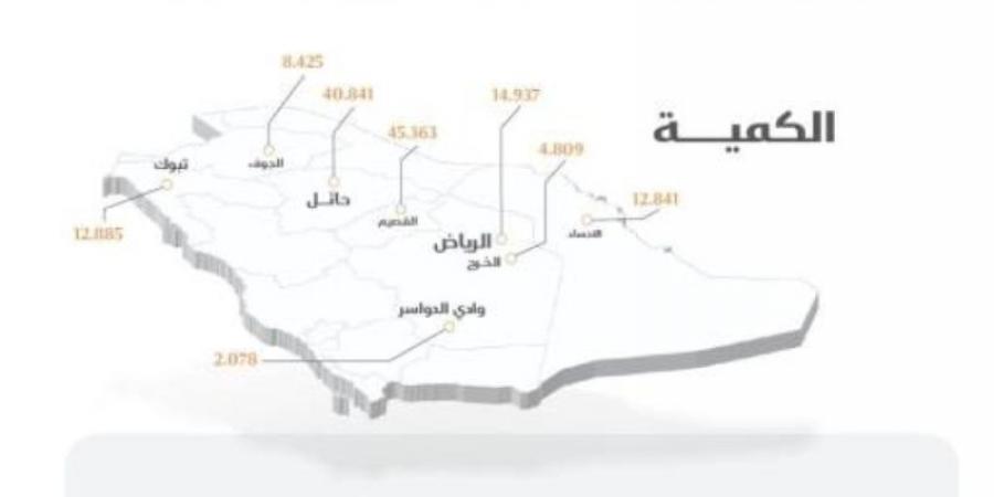 "الأمن الغذائي": صرف (256) مليون ريال لمزارعي القمح المحلي - بوابة فكرة وي