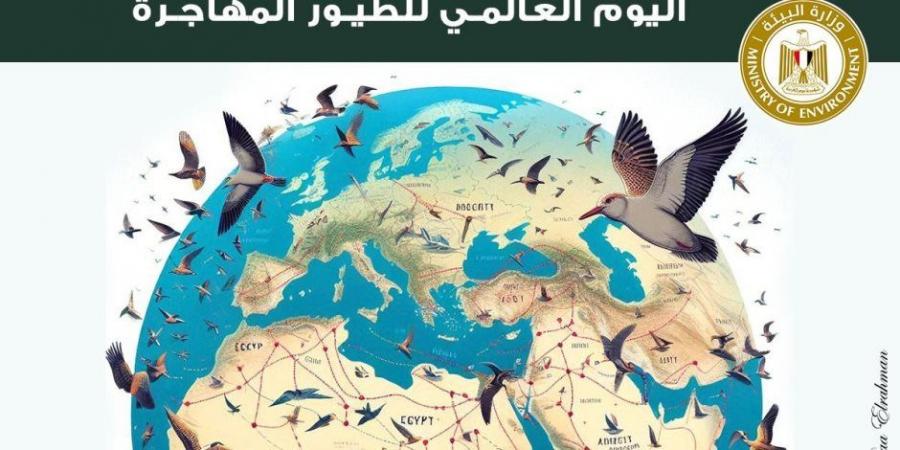 وزيرة البيئة: مصر قبلة الطيور المهاجرة ومحطة هامة للتكاثر والغذاء - بوابة فكرة وي