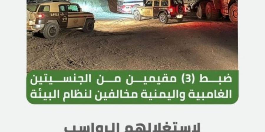 "الأمن البيئي" بالمدينة المنورة يضبط (3) مقيمين لاستغلالهم الرواسب - بوابة فكرة وي