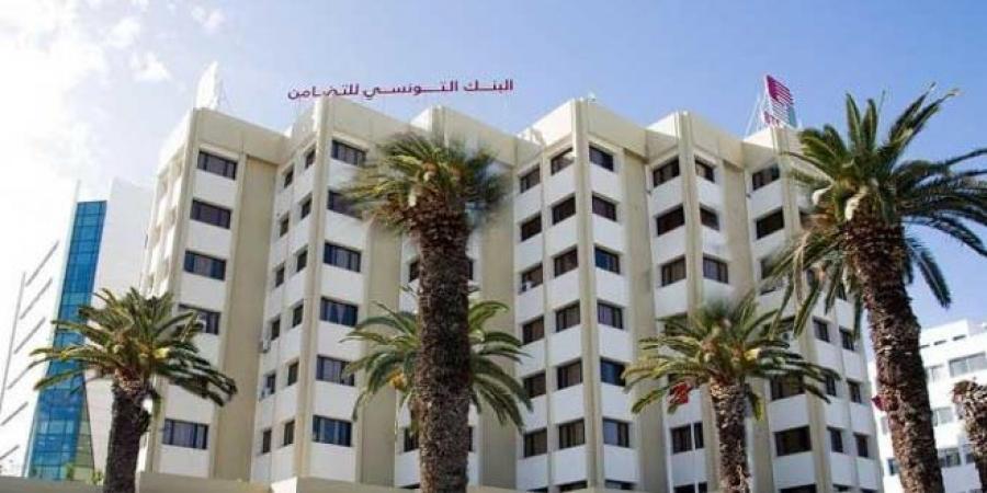 مدير عام بنك التضامن: البنك وفّر التمويل لفائدة 32 شركة أهلية بالشراكة مع وزارة التشغيل والتكوين المهني - بوابة فكرة وي