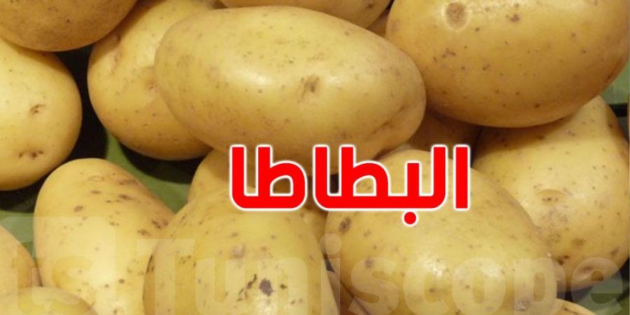 وزير التجارة يُعلّق على نقص البطاطا قي الأسواق - بوابة فكرة وي