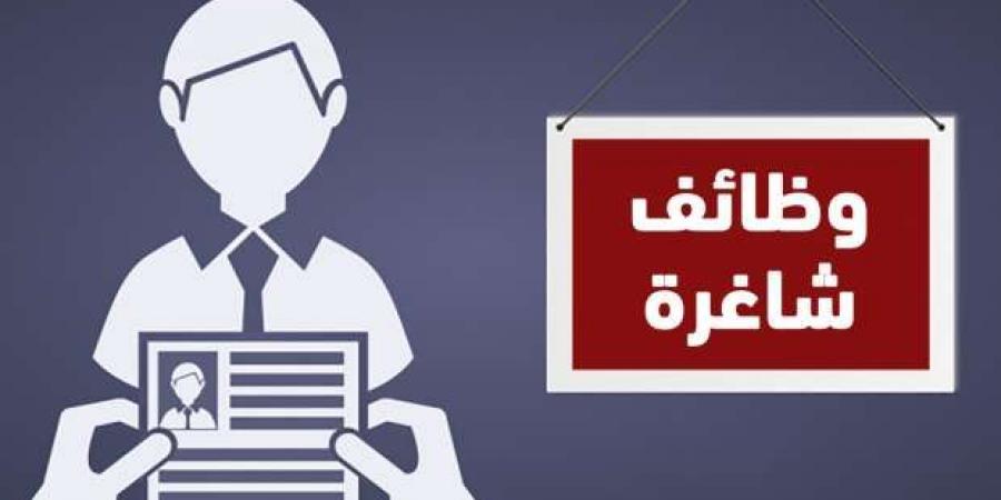 وظائف خالية للمؤهلات العليا برواتب مجزية وبدلات.. طريقة التقديم - بوابة فكرة وي